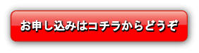 SEOev[g
